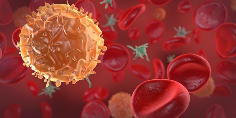 Pengertian Singkat Dari Penyakit Kanker Darah